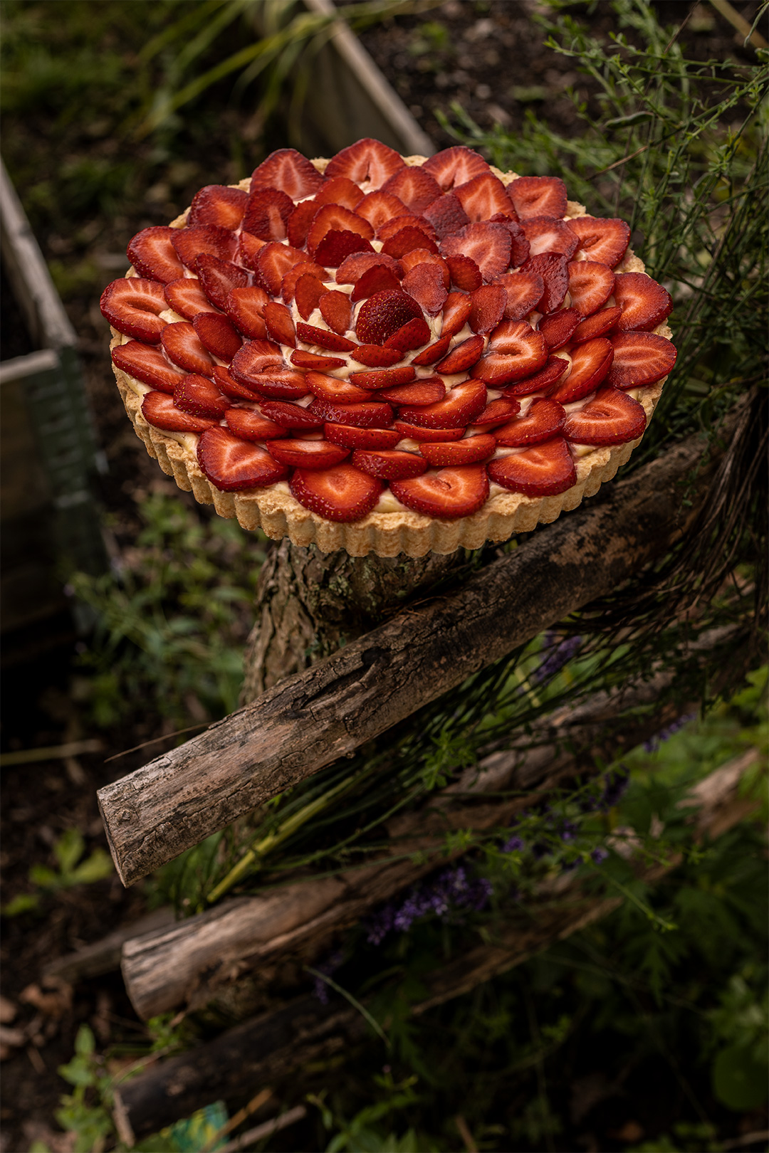 Erdbeertarte vegan rezept