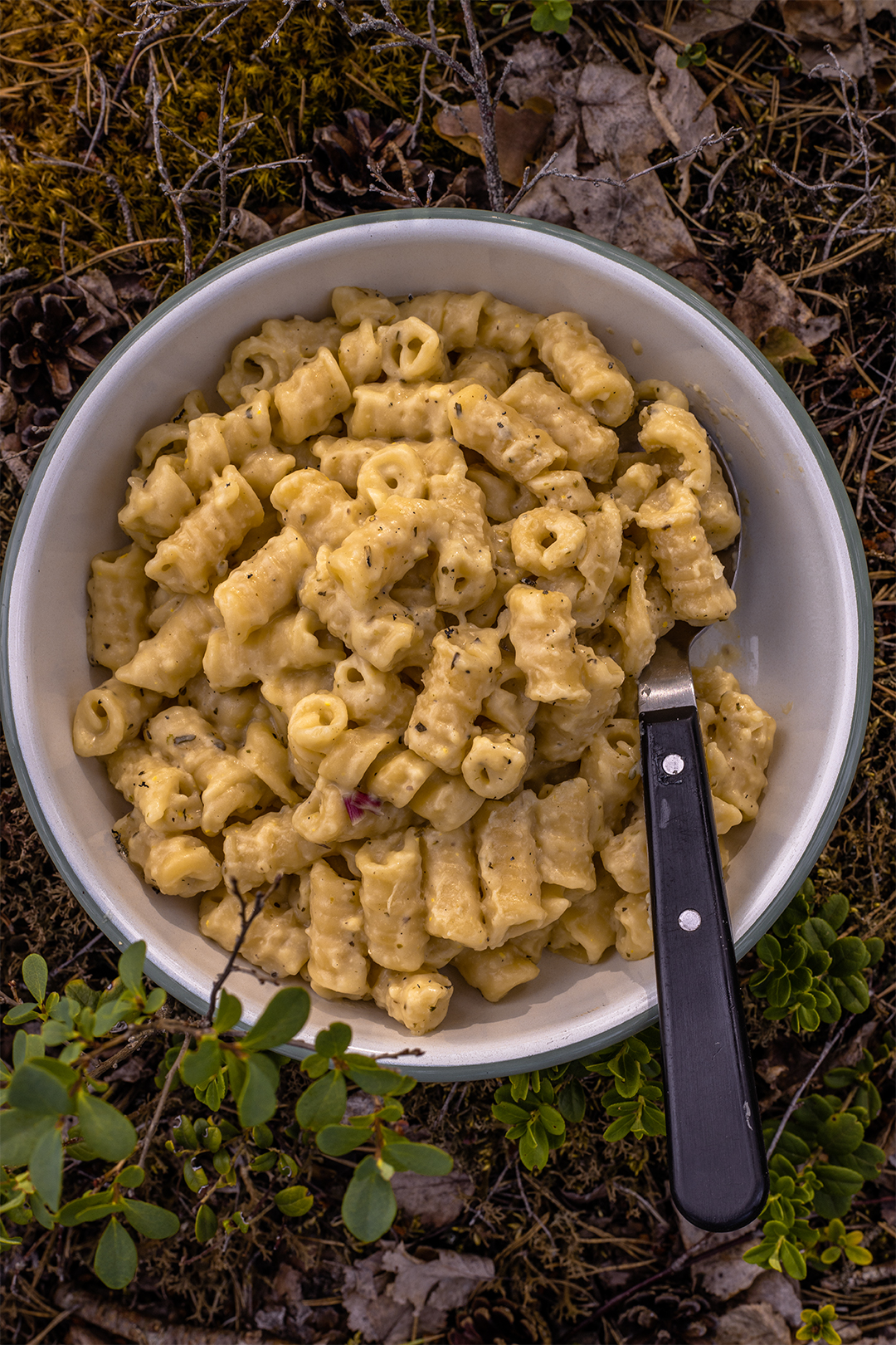 vegane Käsesauce mit Hefeflocken