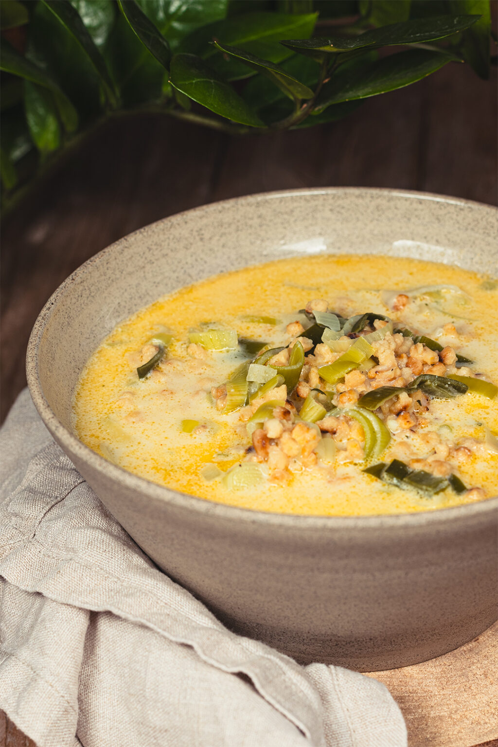 Vegane Käse-Lauch-Suppe mit Hack - Veganer Foodblog aus Hamburg ... Vegane Käse-Lauch-Suppe mit Hack - Veganer Foodblog aus Hamburg ...