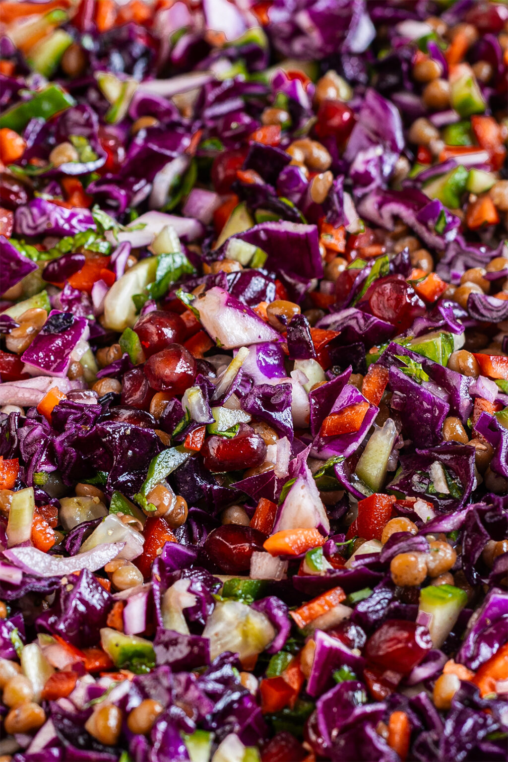 Rotkohl Roh Rotkohlsalat mit Linsen - Veganer Foodblog aus Hamburg geschrieben von ...