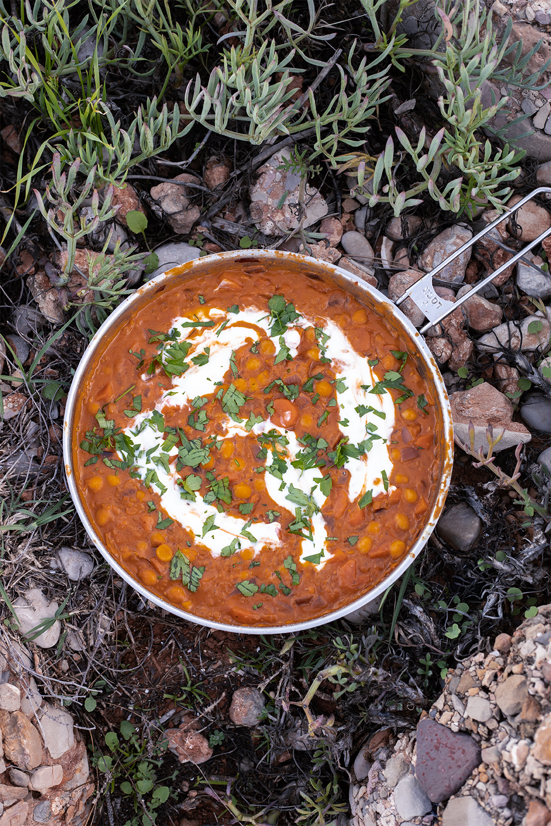 Eisenreiche vegane Linsenpfanne mit Möhren, Kokosmilch und Kurkuma